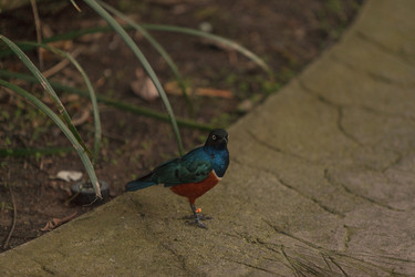 Similar image 11491330