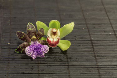 Similar image 11491347