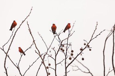 Similar image 11491350