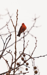 Similar image 11491364