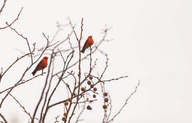 Similar image 11491366