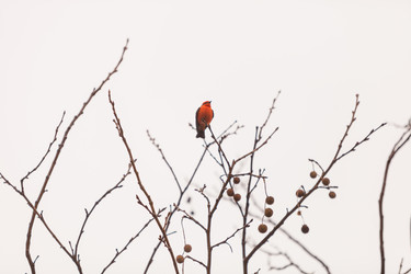 Similar image 11491367