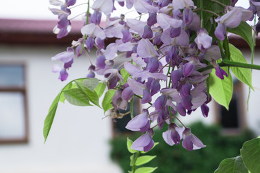 Similar image 11495621