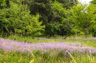 Similar image 11491023