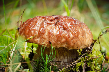 Similar image 11490977