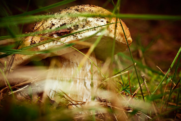 Similar image 11490978