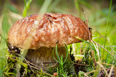 Similar image 11490979