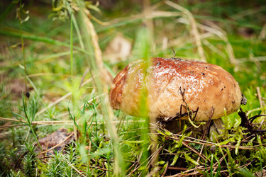 Similar image 11490980