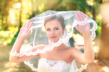 Similar image 11491237