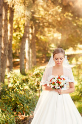 Similar image 11494530