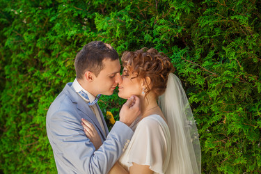 Similar image 11491215