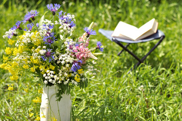 Similar image 11491560