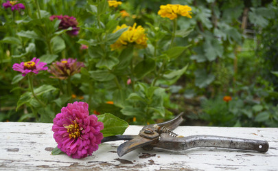 Similar image 11491562