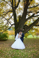 Similar image 11497287