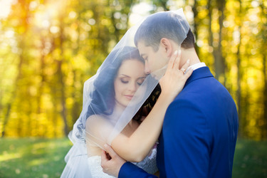 Similar image 11494464