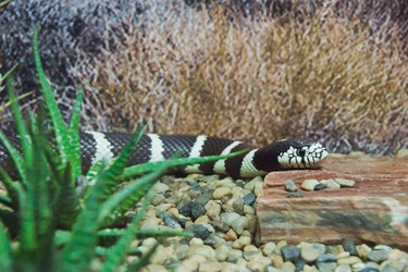 Similar image 11493087