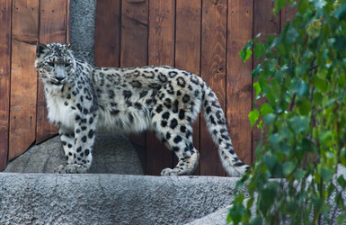 Similar image 11493088