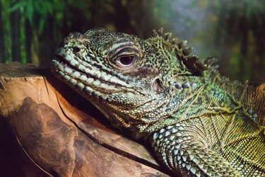 Similar image 11493121