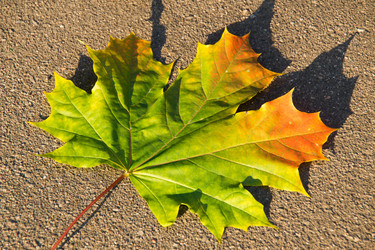 Similar image 11493122