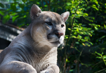 Similar image 11493069