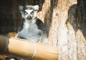 Similar image 11493073