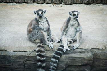 Similar image 11493075