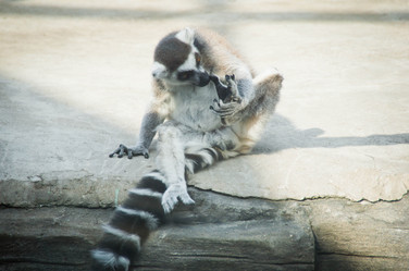 Similar image 11493076