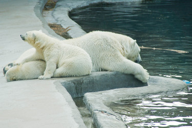 Similar image 11493080