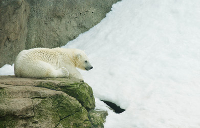 Similar image 11493081