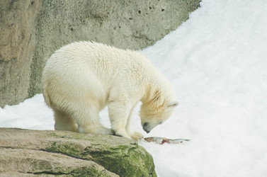 Similar image 11493082