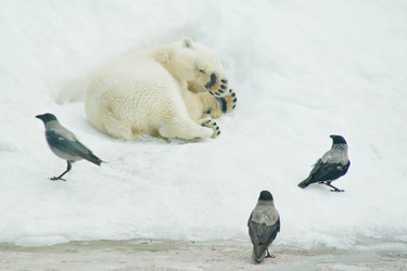 Similar image 11493085