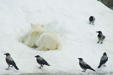 Similar image 11493092