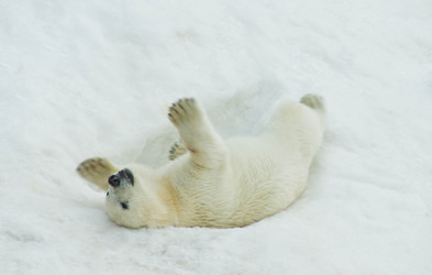 Similar image 11493093