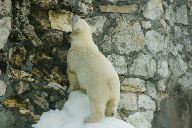 Similar image 11493094