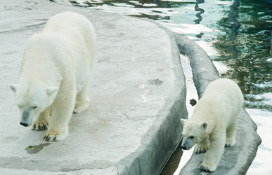 Similar image 11493095