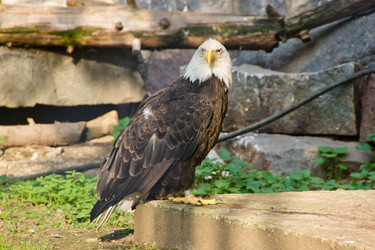 Similar image 11493096