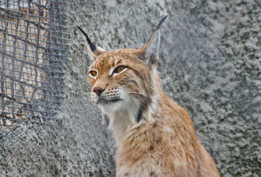 Similar image 11493098