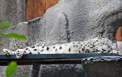 Similar image 11493099