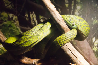 Similar image 11493100