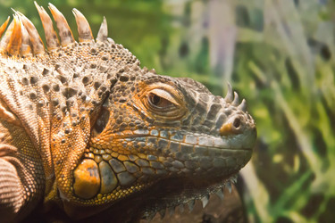 Similar image 11493101