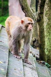 Similar image 11491095