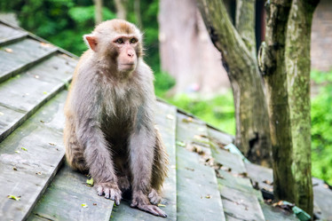 Similar image 11491096