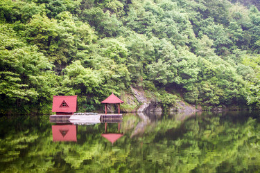 Similar image 11491104