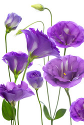 Similar image 11491729