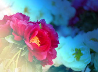 Similar image 11496810