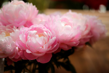 Similar image 11496833