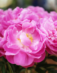 Similar image 11496834