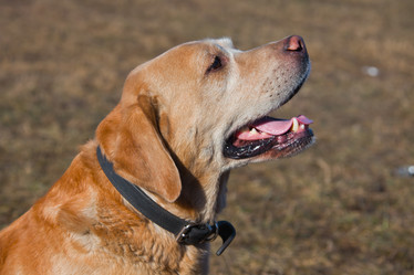 Similar image 11494350