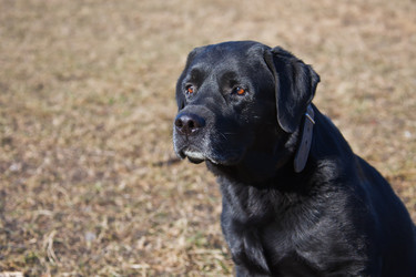 Similar image 11494351