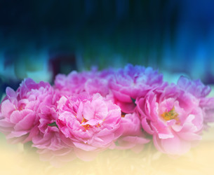 Similar image 11496853